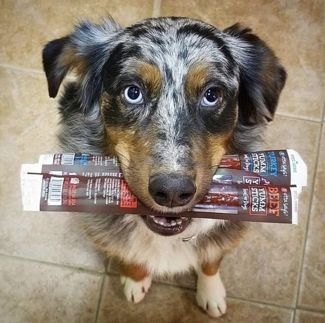 Etta Says Yumm Sticks made in USA, supporting local manufacturing while dogs enjoy real meat.