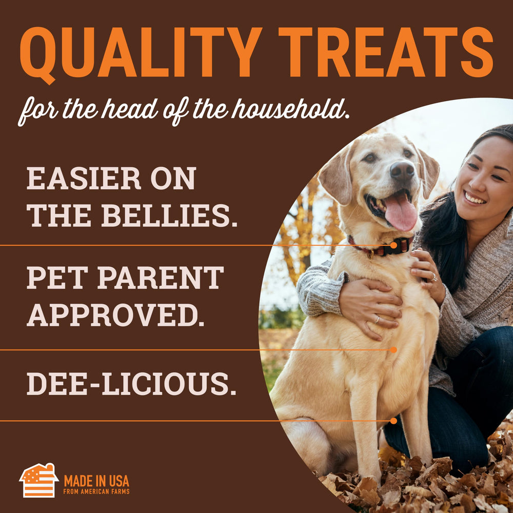 Etta Says Yumm Sticks turkey jerky close-up lean protein option