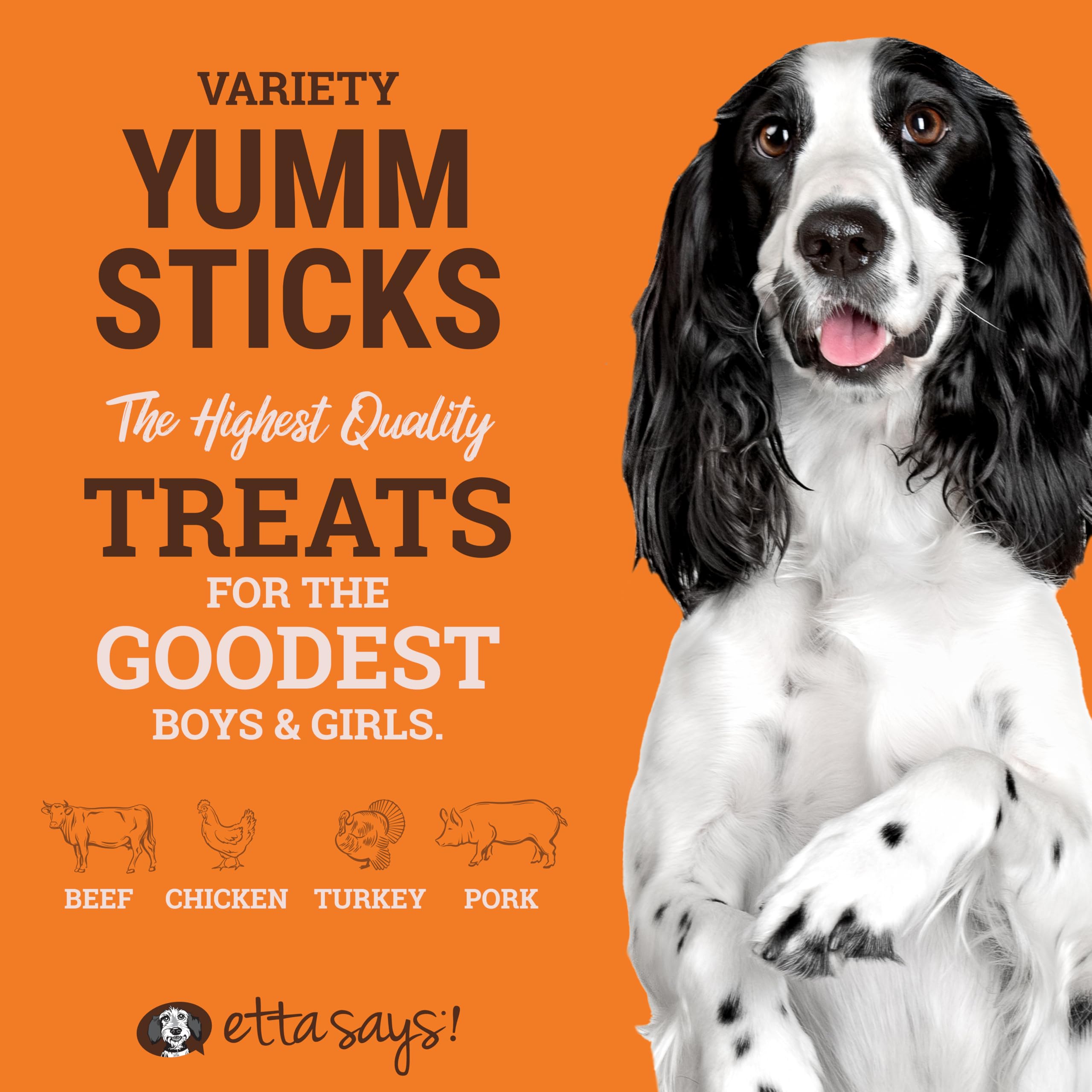 Etta Says Yumm Sticks variety label close-up highlighting human-grade quality