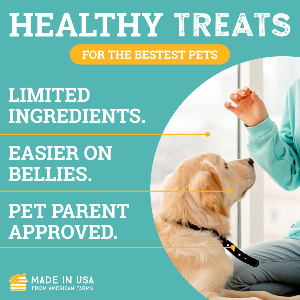 etta says! Trainer rewards dog with a soft treat during clicker training.