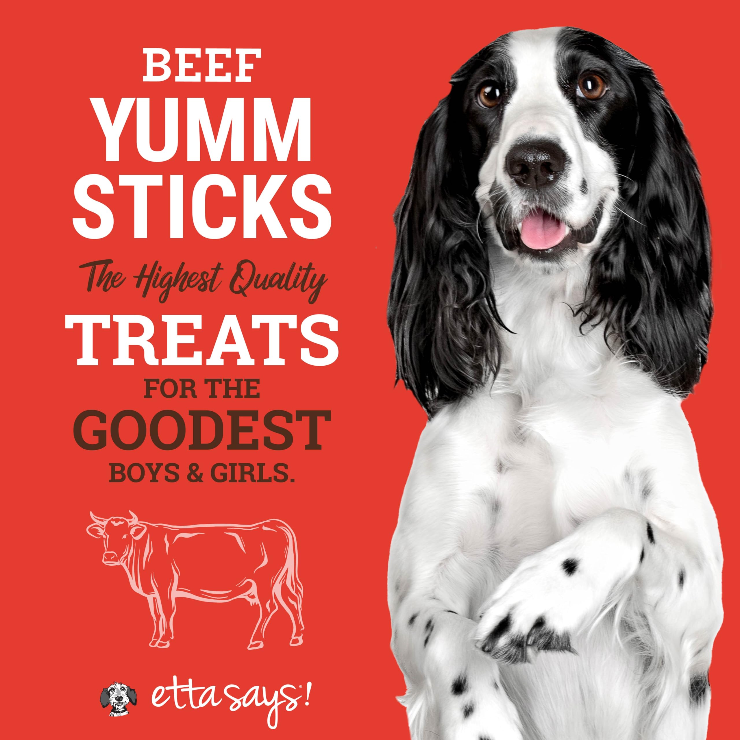etta says! Yumm Sticks soft texture treat – ideal for quick training rewards.