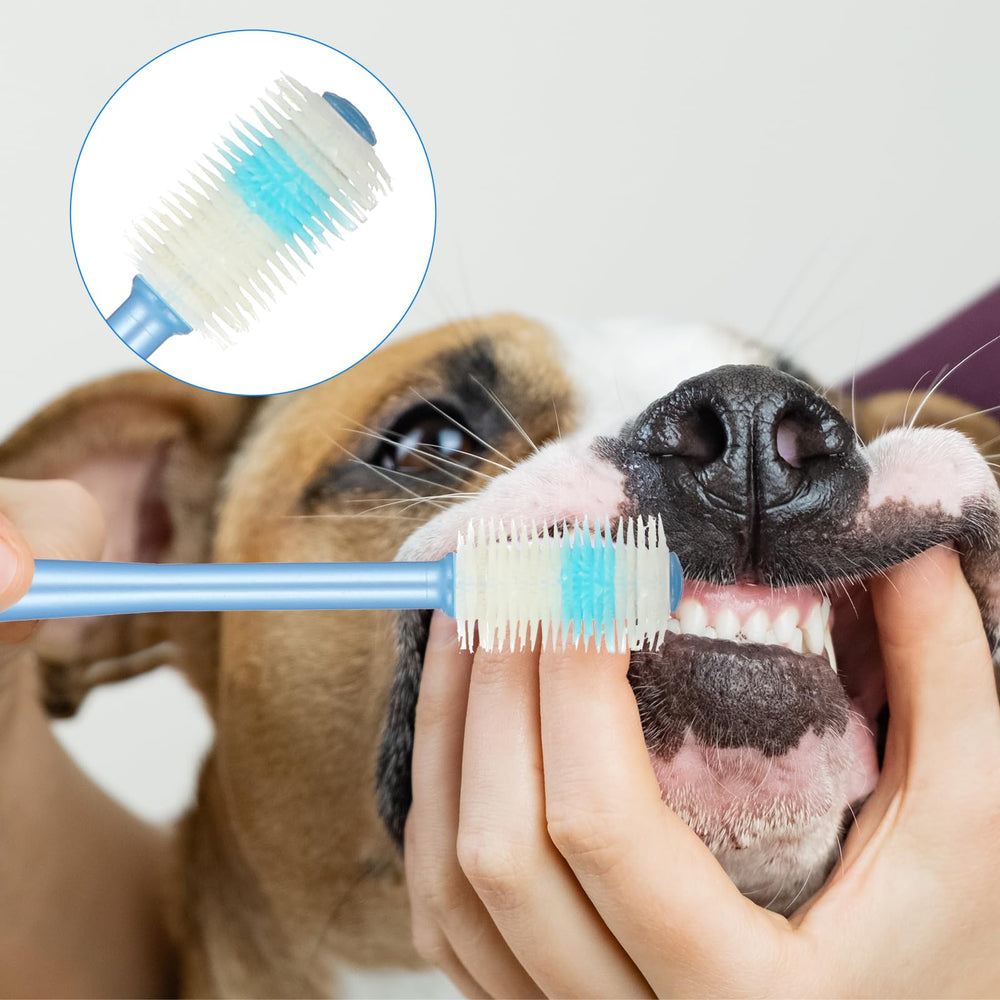 EupHHonycs blue and purple brushes offer color variety for pets.
