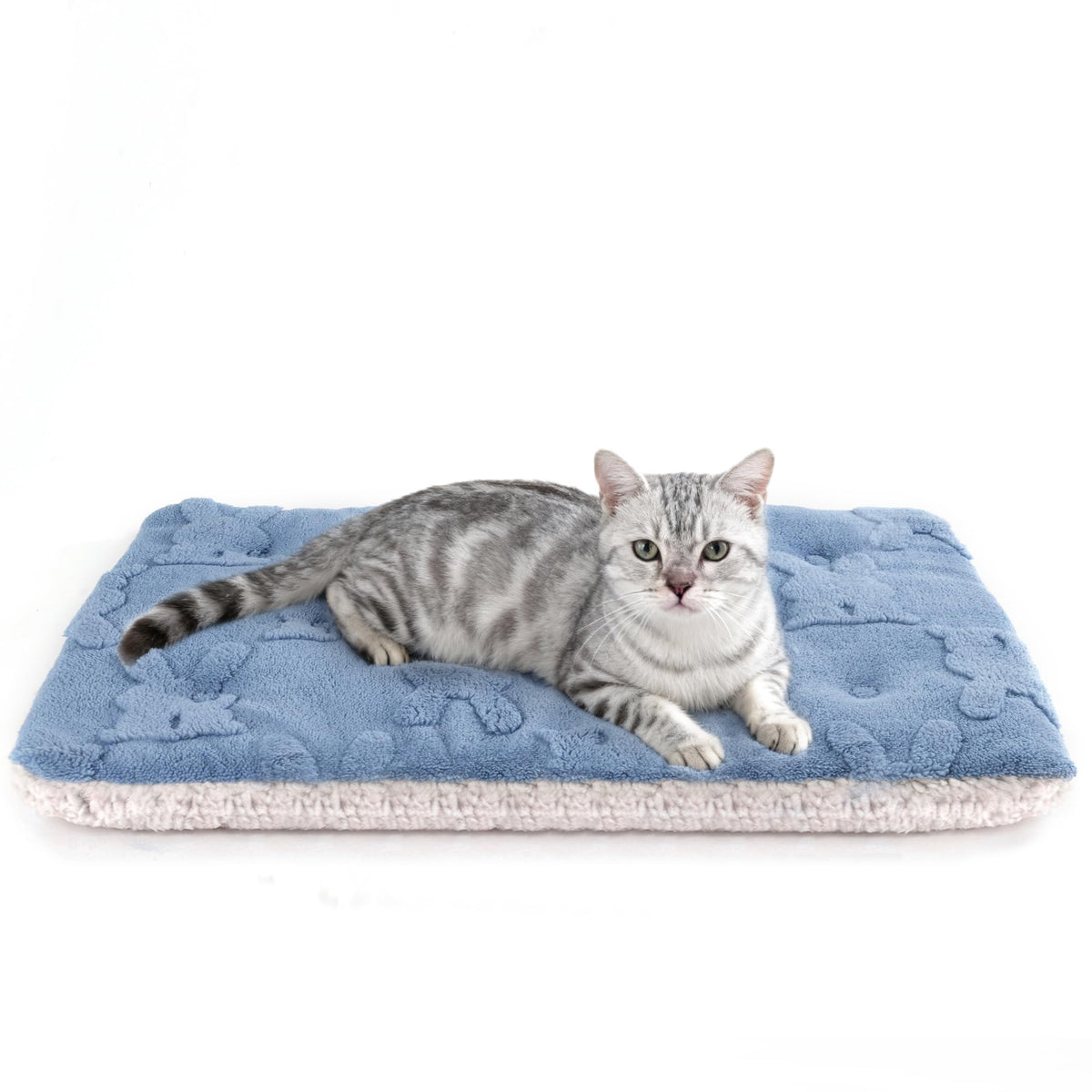 EursurePet self-warming bed front view shows two-pack 22x16 design for cozy naps.