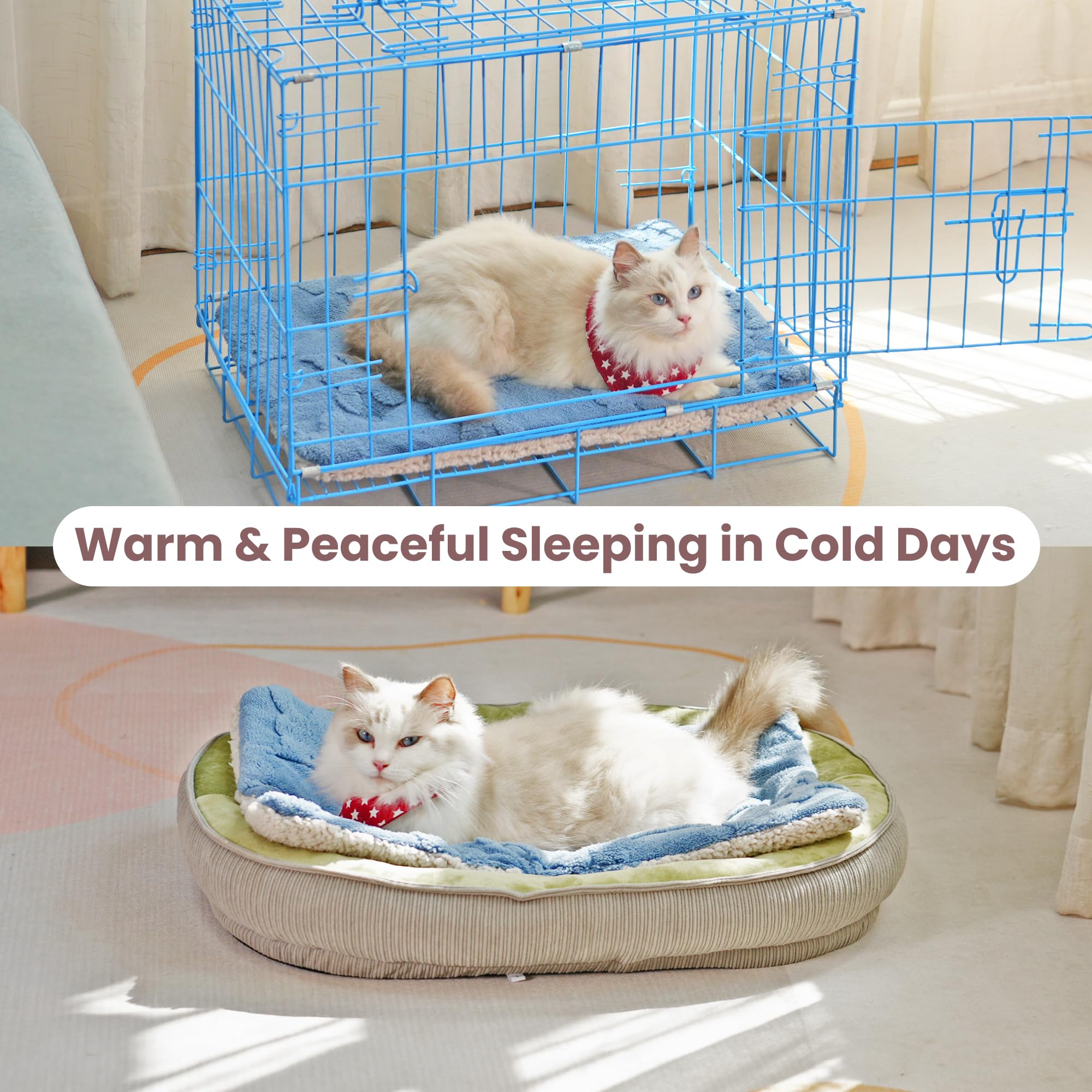 EursurePet self-warming bed sofa-topper setup emphasizes cozy naps.