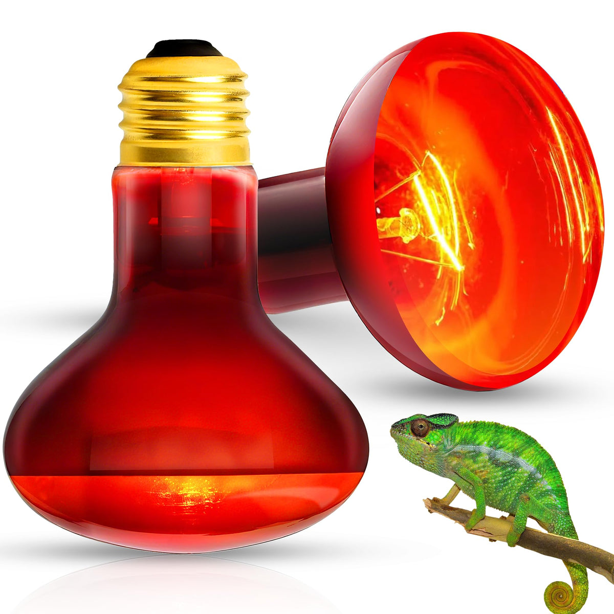 EvaStary 100W reptile heat lamp basking closeup supports warm basking and active behavior.