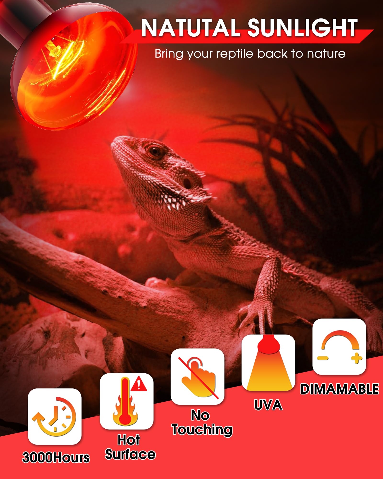 EvaStary 100W reptile heat lamp night heat demonstrates gentle warmth without disturbing sleep.