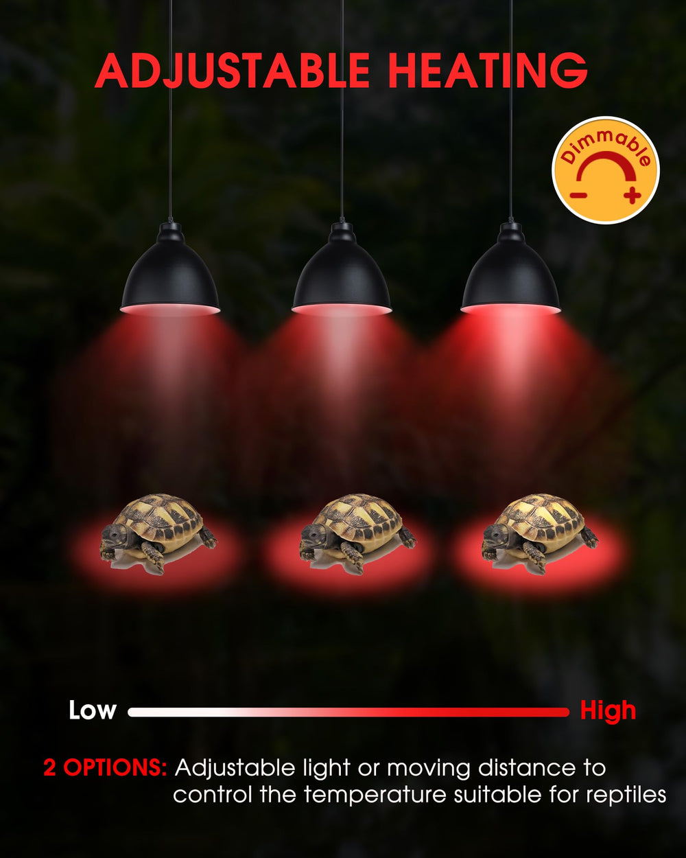 EvaStary turtle and lizard setup featuring heat lamp for basking and activity.