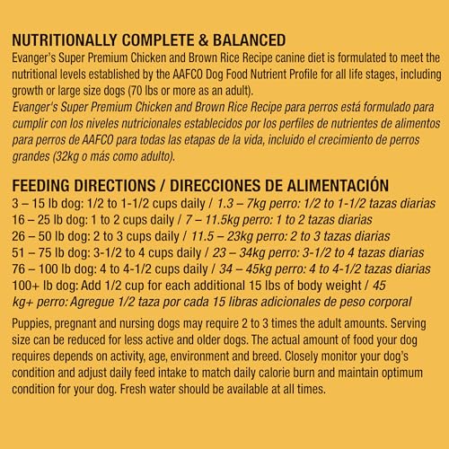Digestive health focus image shows prebiotics and minerals for gut comfort and nutrient uptake
