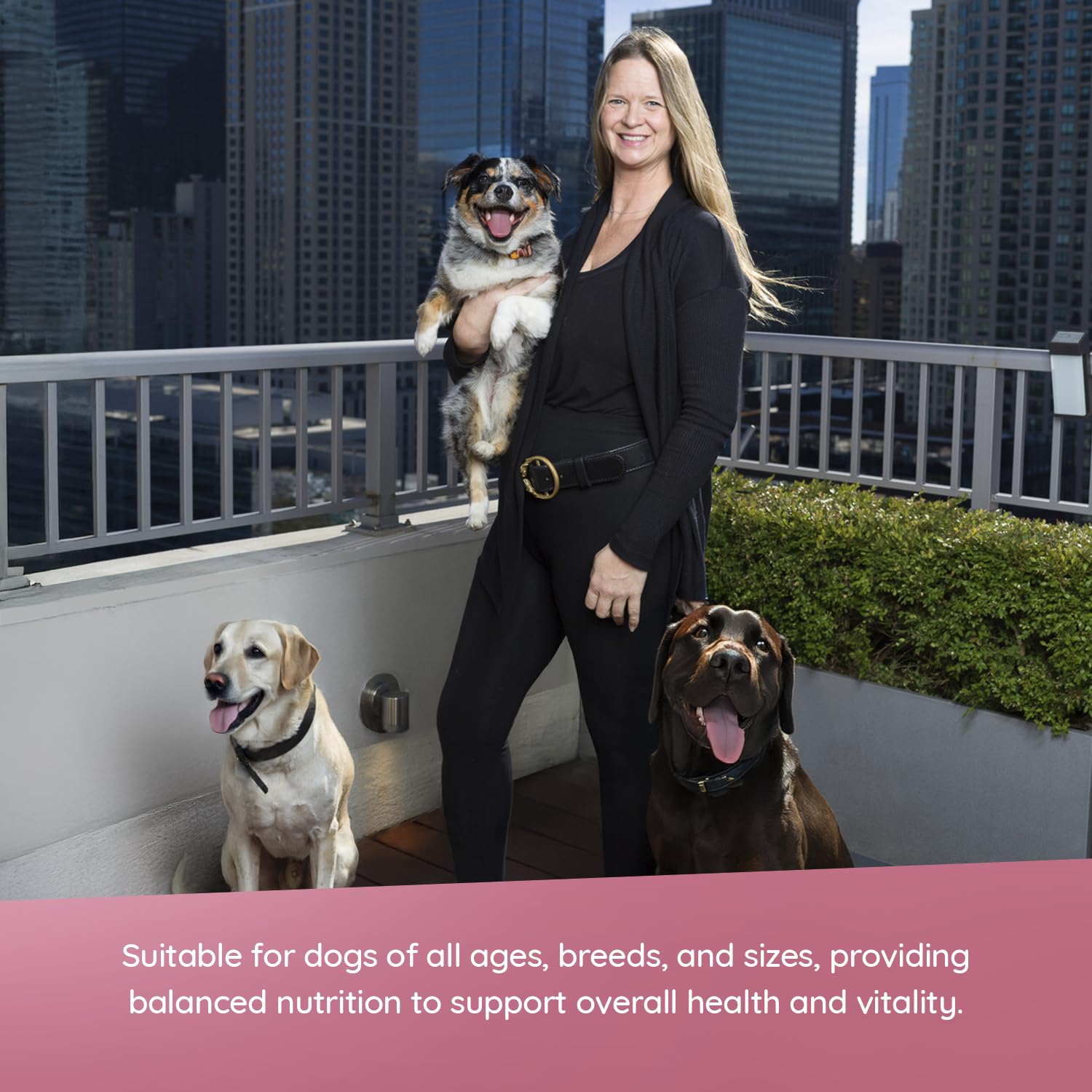 Evanger's Heritage Classic complete meal or mix-in demonstrates flexible feeding for all life stages.