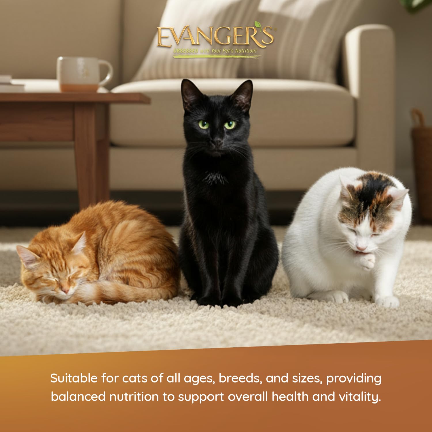 Evanger's Heritage Classics cat mealtime serving image showcases moisture-rich loaf.