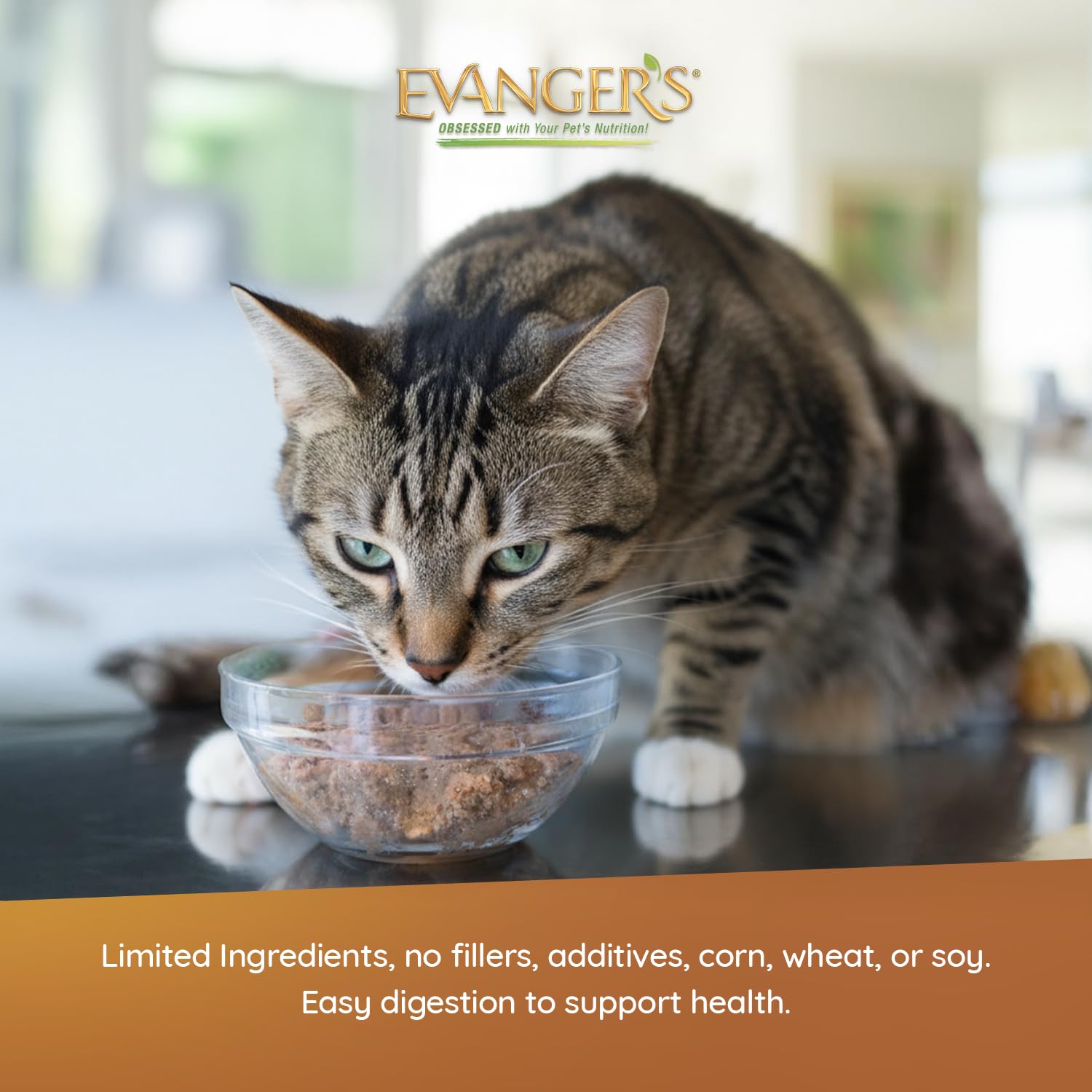 Evanger's Heritage Classics grain-free formula emphasizes simple ingredients for sensitive stomachs.