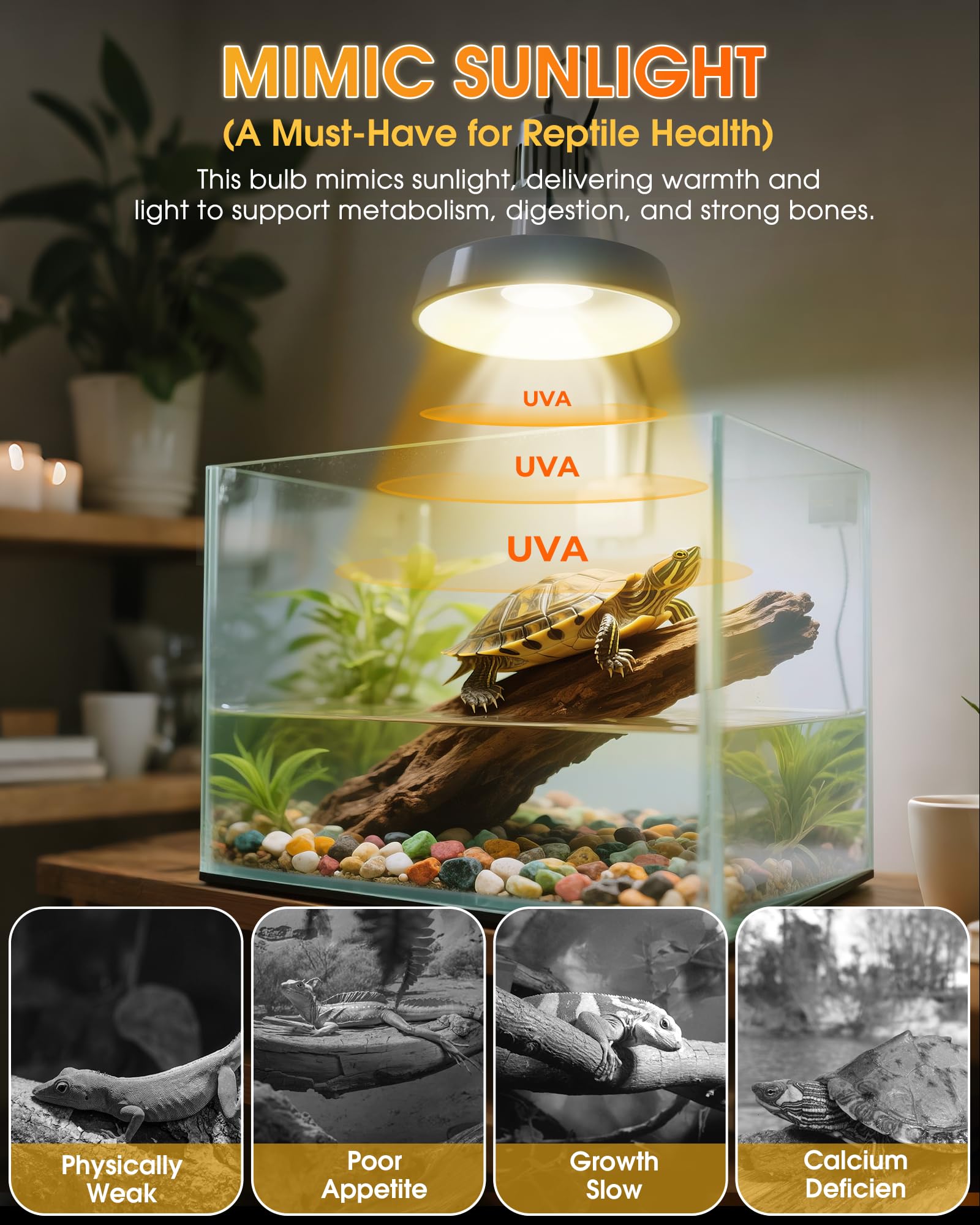 EvaStary 50W dimmable basking bulb offers adjustable warmth for terrarium
