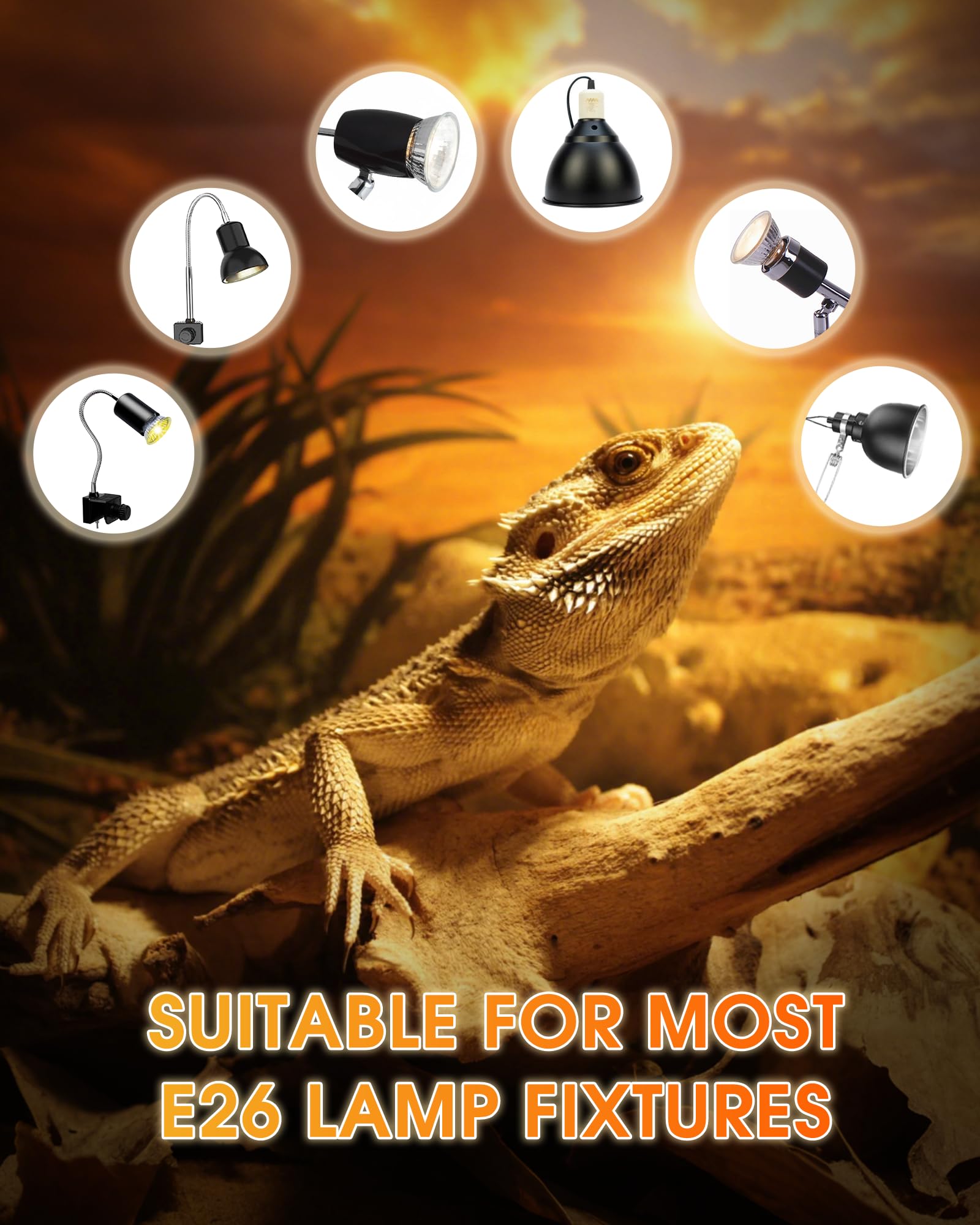 EvaStary 50W reptile heat lamp with E26 base fits standard fixtures