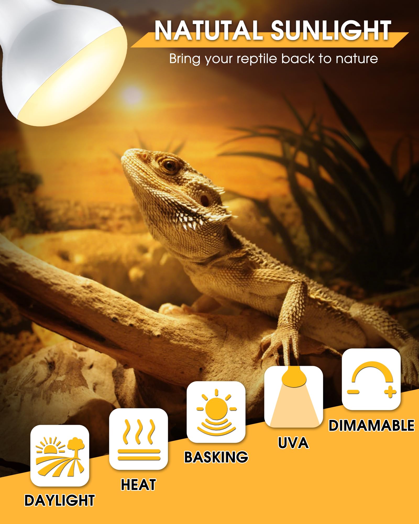 EvaStary reptile basking spot lamp lights the basking area in terrariums