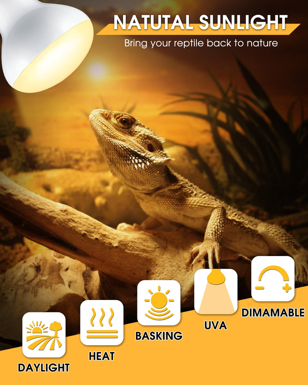 EvaStary reptile basking spot lamp lights the basking area in terrariums