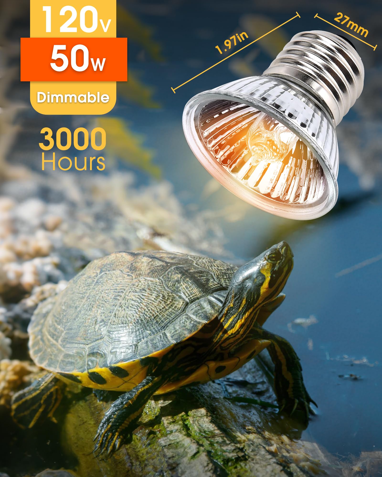 EvaStary 50W reptile heat lamp UV-A light image showing effective illumination