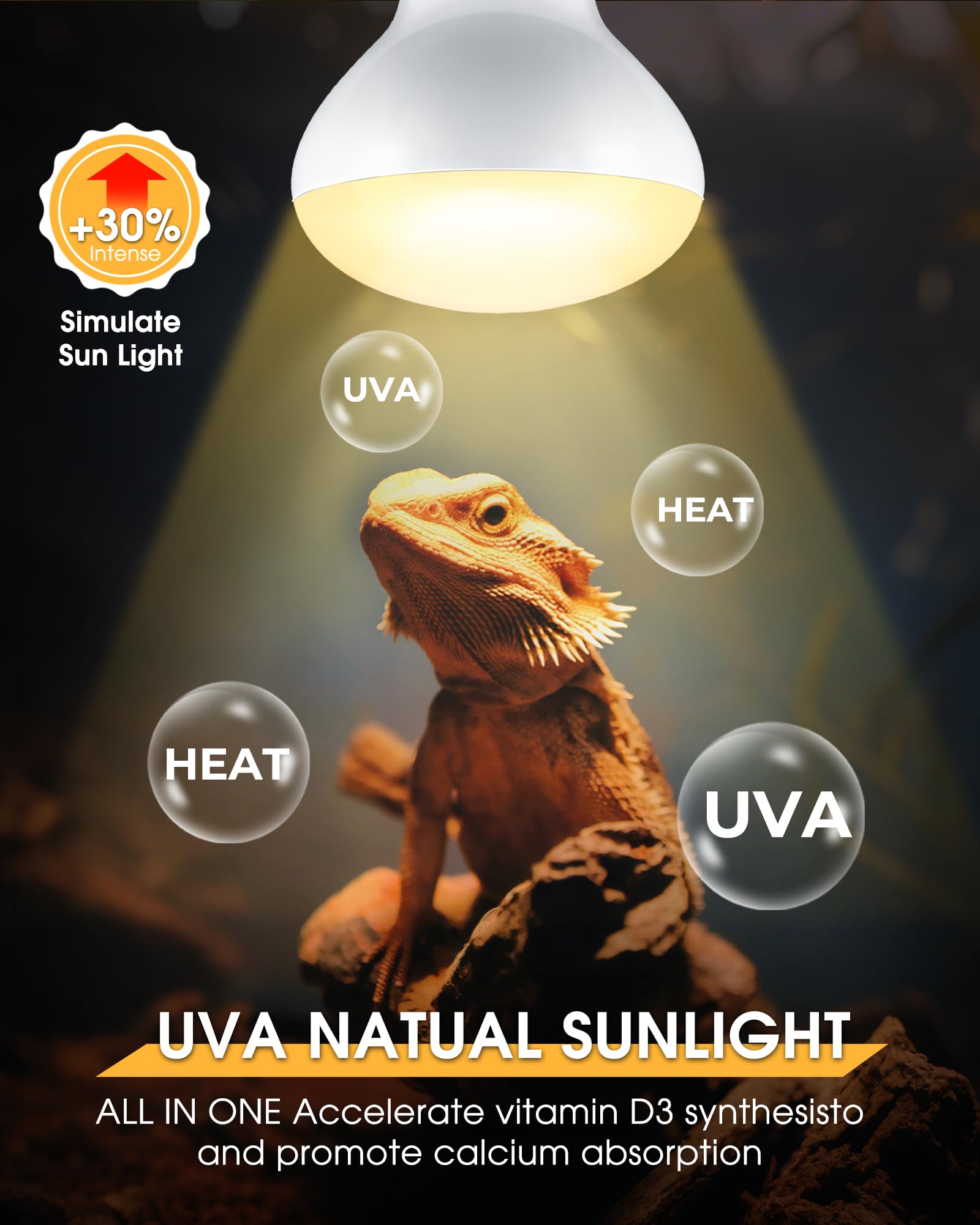 EvaStary UVA UVB sun-simulating bulb promotes natural activity in reptiles