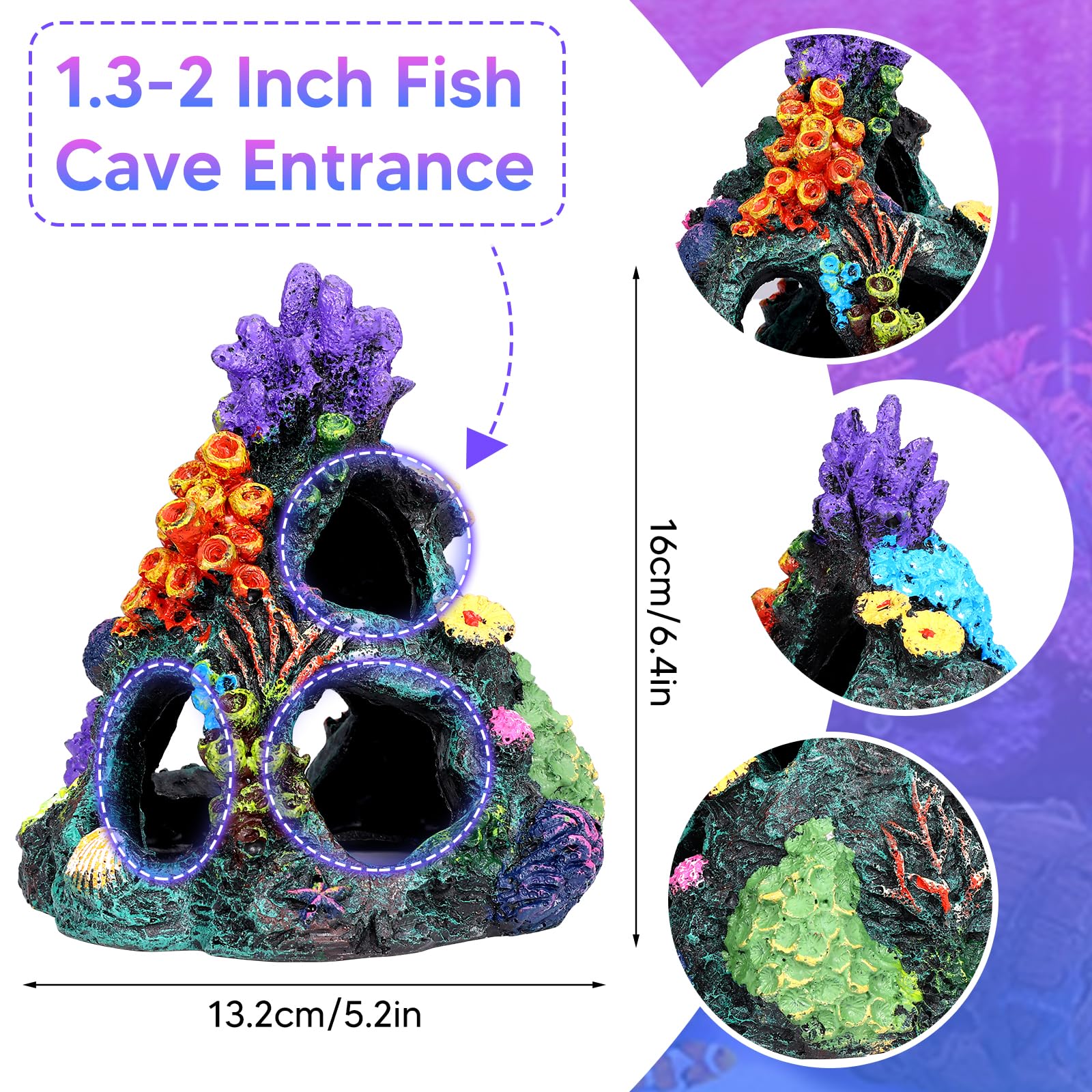 EVELOMO coral-plant-4 compact plant for versatile layouts and contrast.