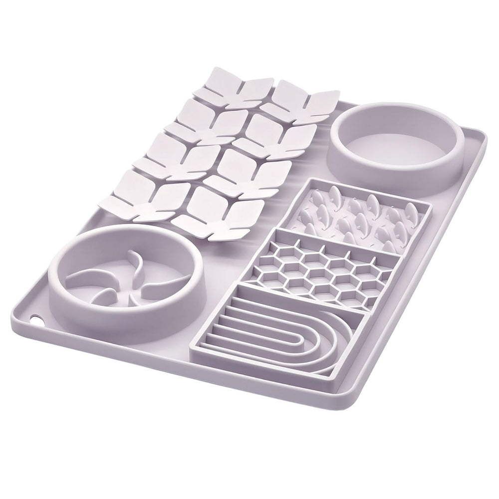 Evenco slow-feeder bowl with suction cups keeps meals steady for calm eating.
