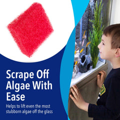 Evergreen aquarium sponge demonstrates handheld cleaning action for reach into corners.