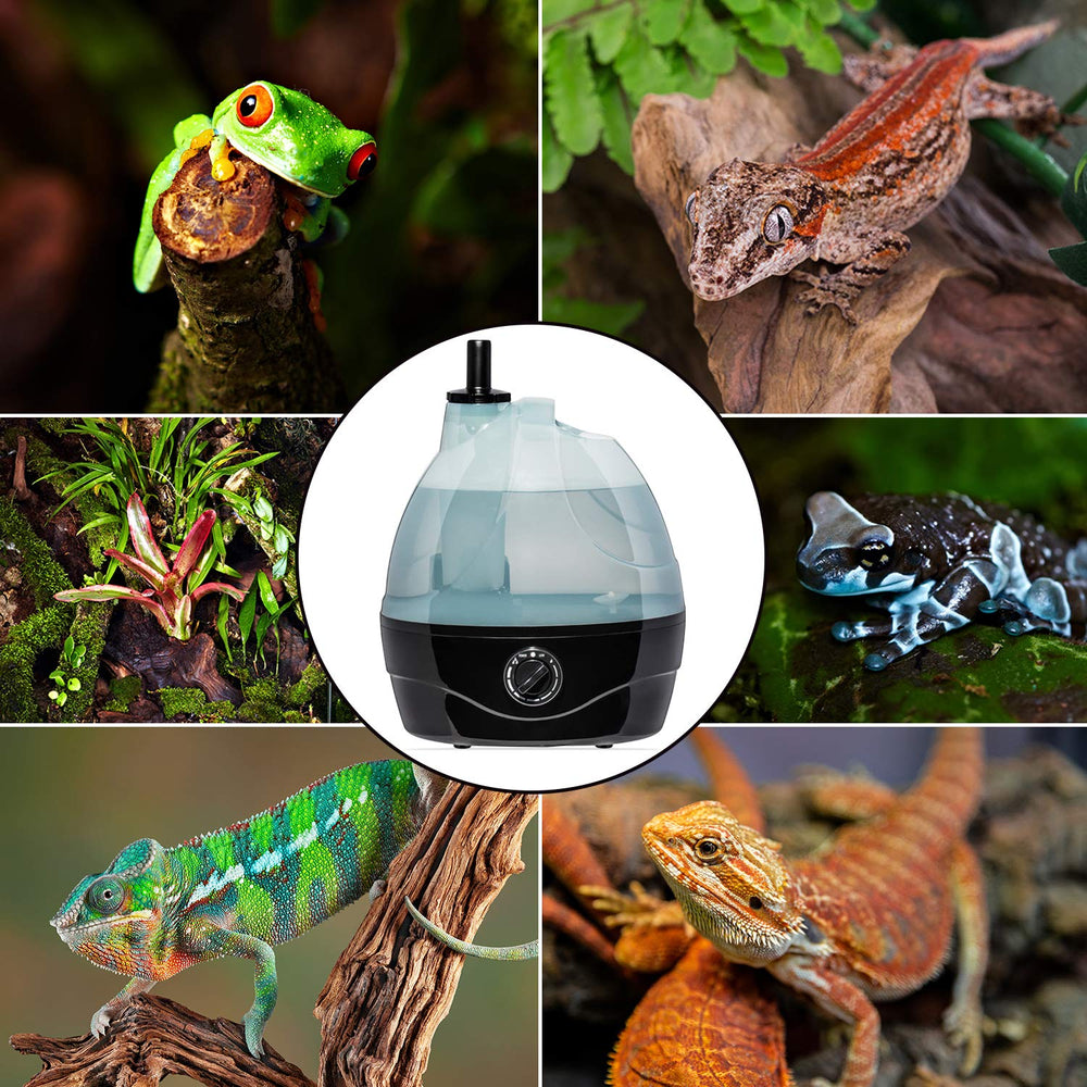 Evergreen Pet Supplies reptile fogger in tortoise enclosure demonstrates versatile humidity control
