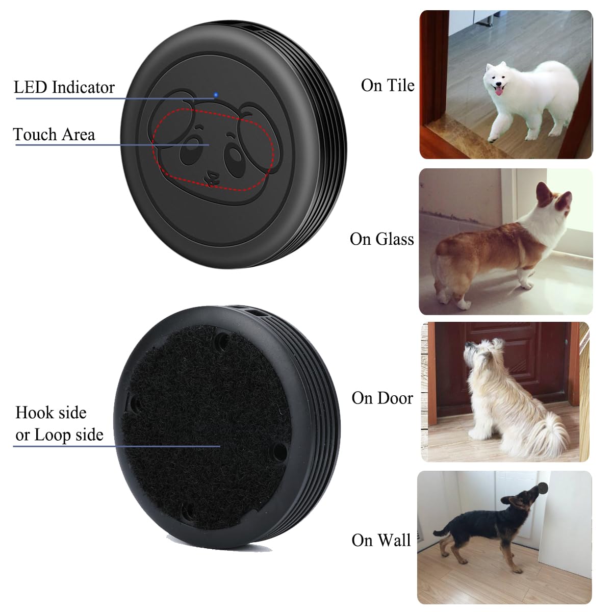 Evernary waterproof touch button close-up ready for daily training and cues.