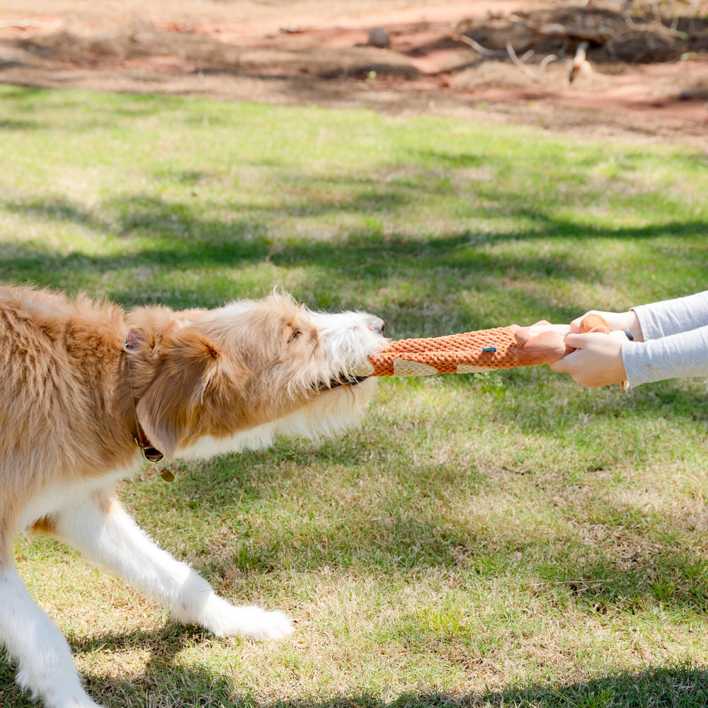 everyday joy tug-of-war dog toy extended length supports safe, engaging games with bigger dogs