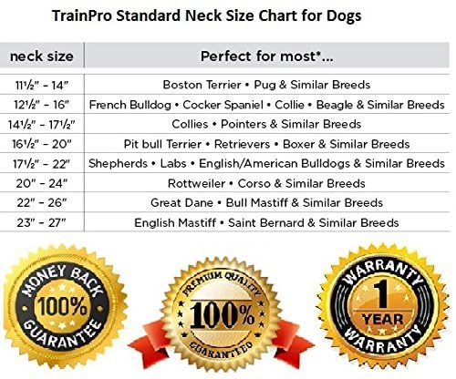 EveryPet universal band strap built for heavy-duty use and lasting strength.