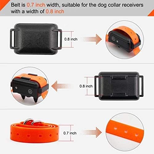 EveryPet universal colorful-refreshed-collar-band—safe, visible styling.