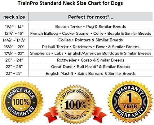 EveryPet universal heavy-duty polyurethane-coated nylon—tough and durable for everyday use.