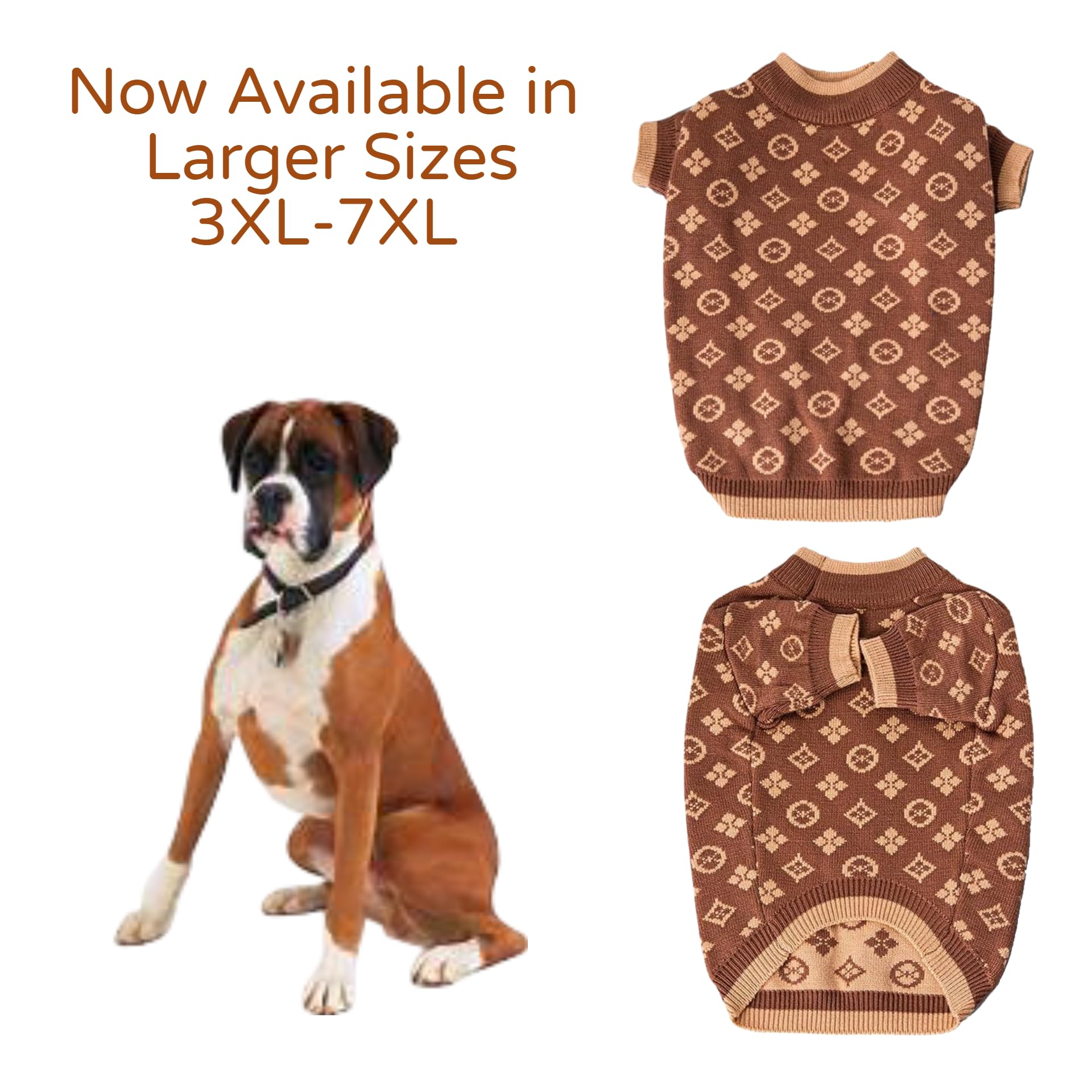 Everything Chic luxury dog sweater on petite-dog demonstrates stylish warmth during outings