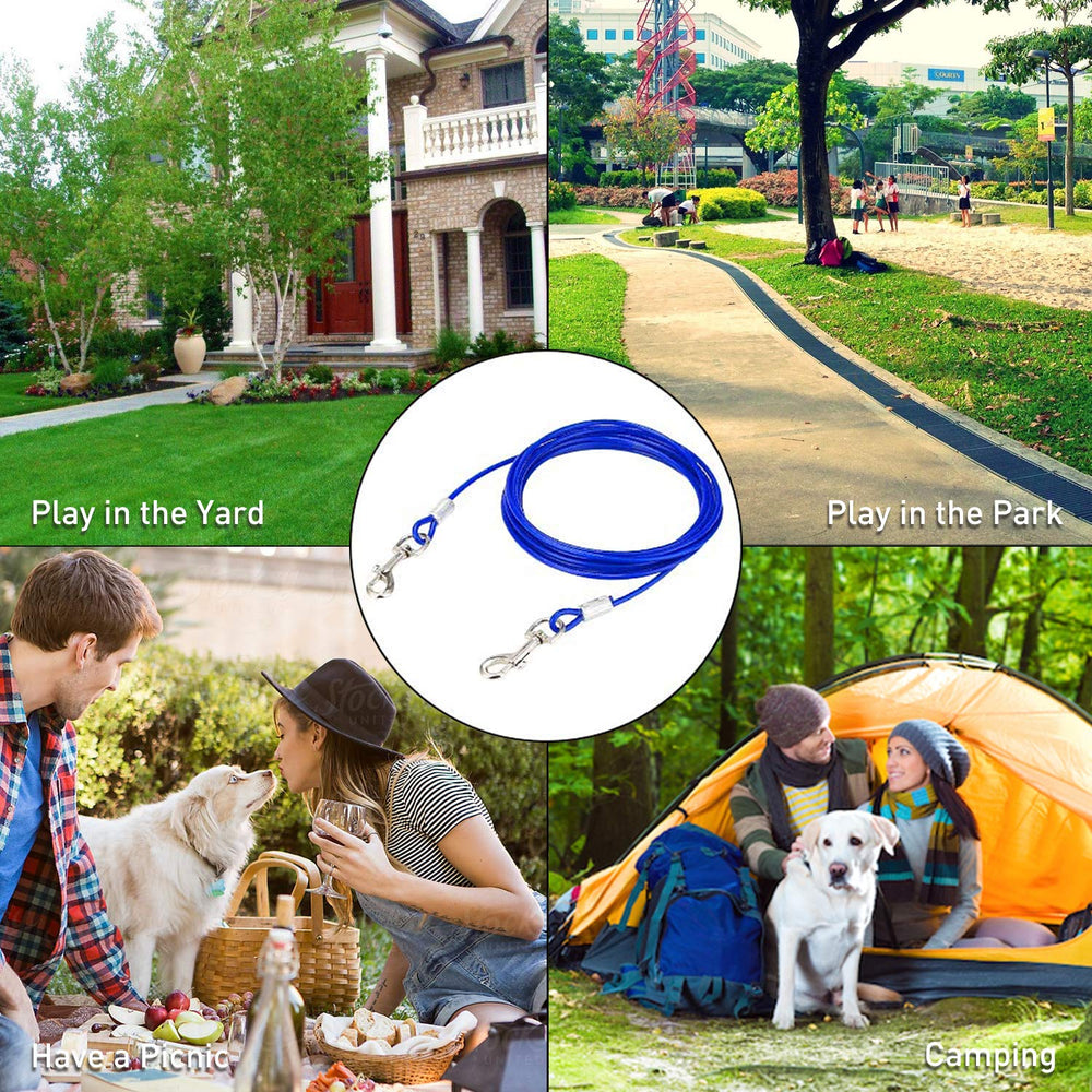 Evilplan outdoor dog tie-out provides a safe enclosure for adventures.