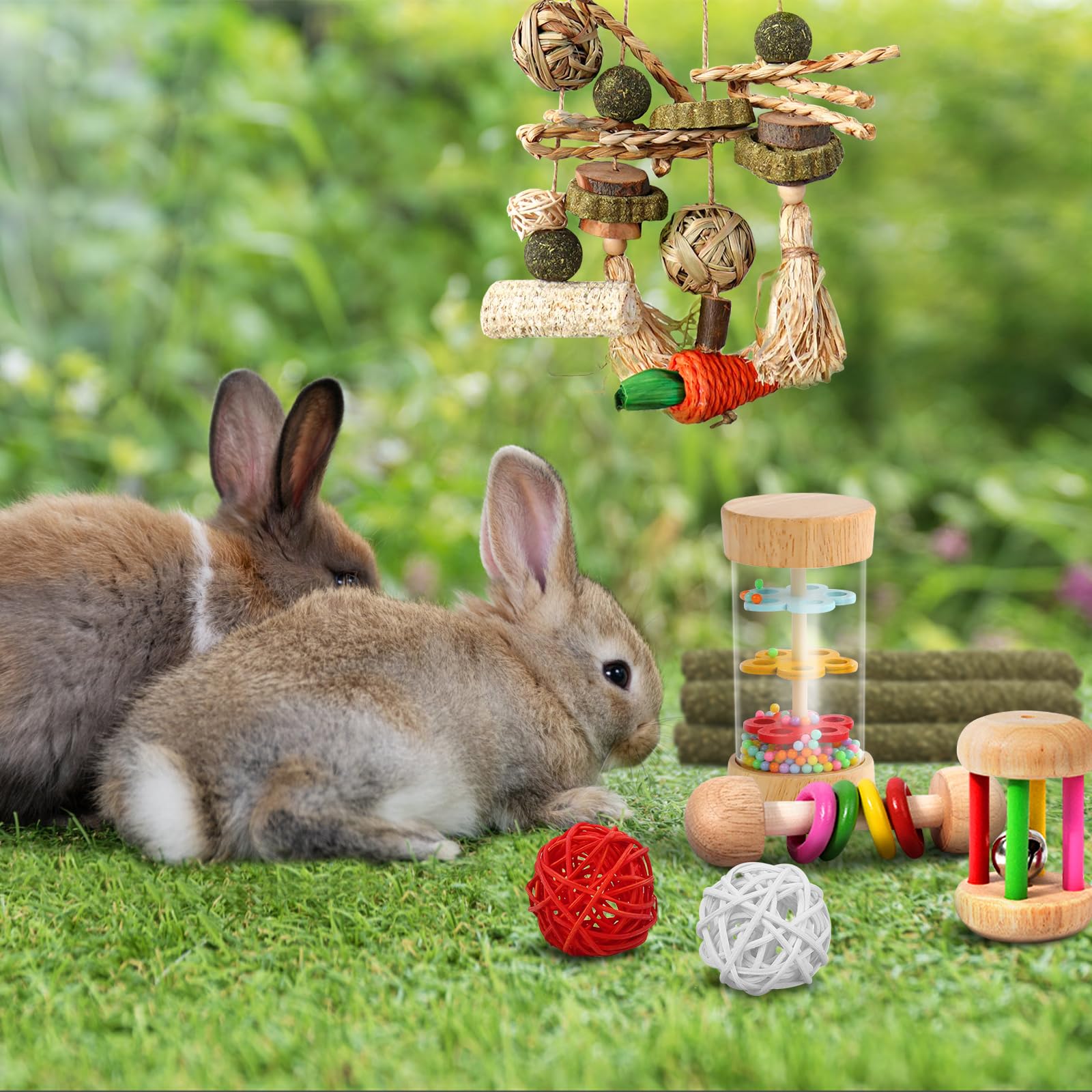 EVISWIY foraging bundle encourages scent-based exploration and interactive cage time.