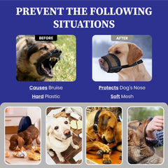 Evollax dog muzzle with adjustable straps showing a snug fit for various breeds