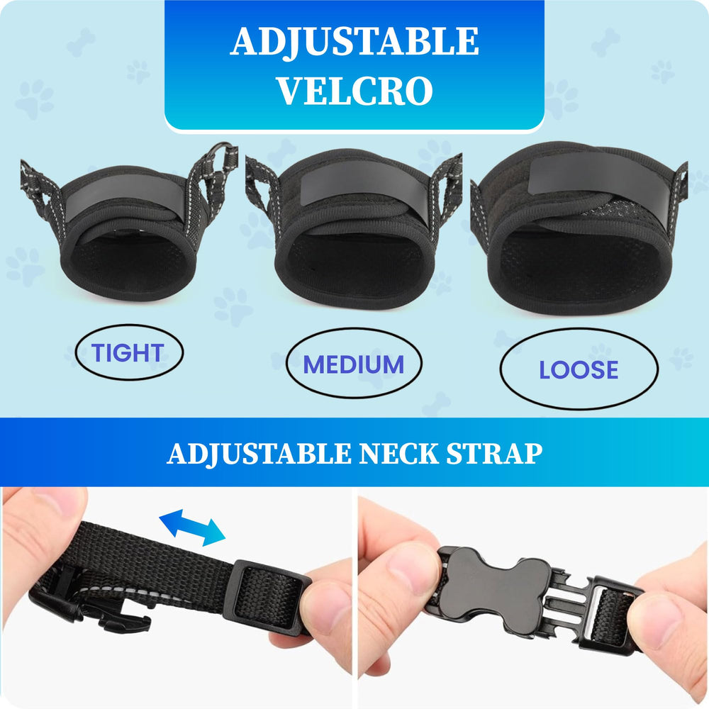 Evollax easy-clean muzzle design simplifies post-use maintenance.