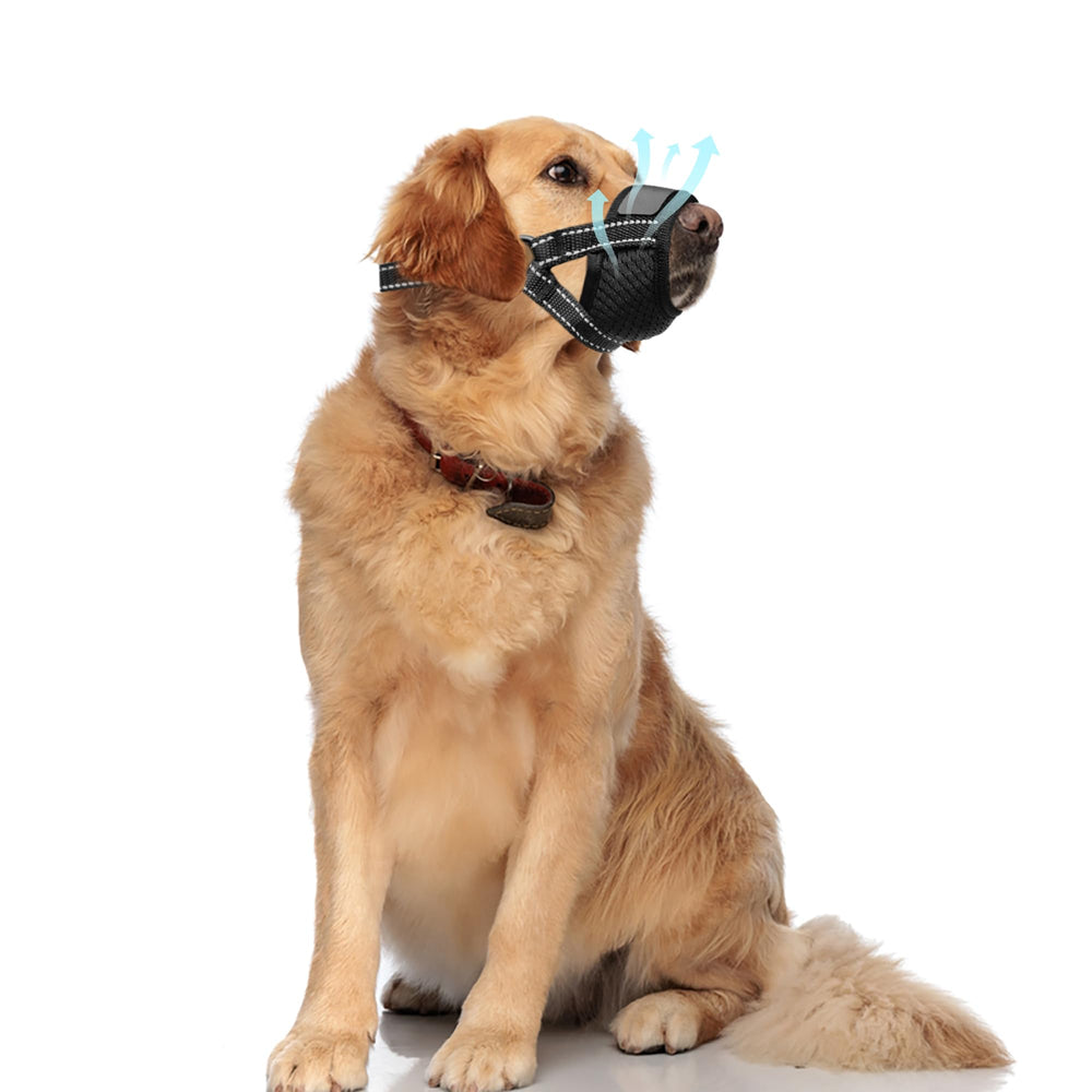 Evollax non-restrictive design allows panting and drinking naturally.