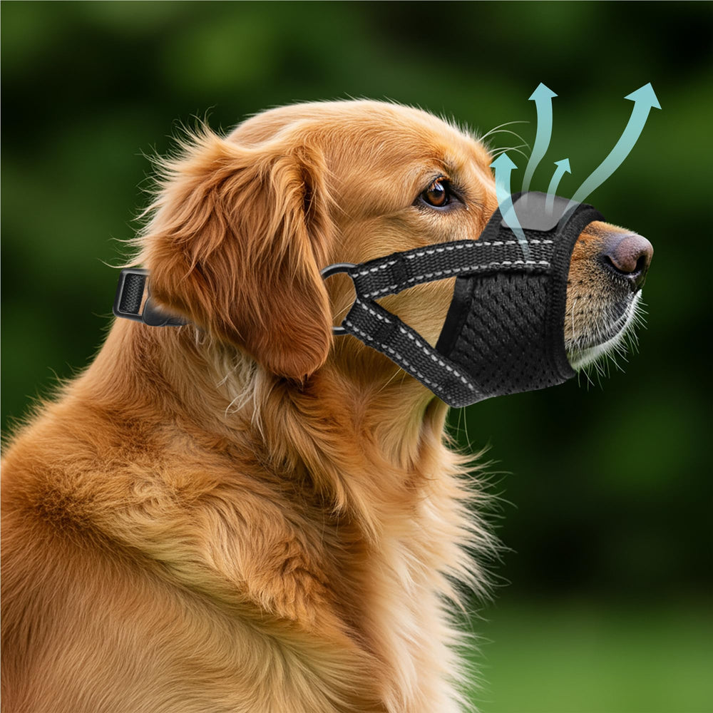 Evollax dog muzzle panting-drinking-allowed design lets dogs stay hydrated and comfortable.