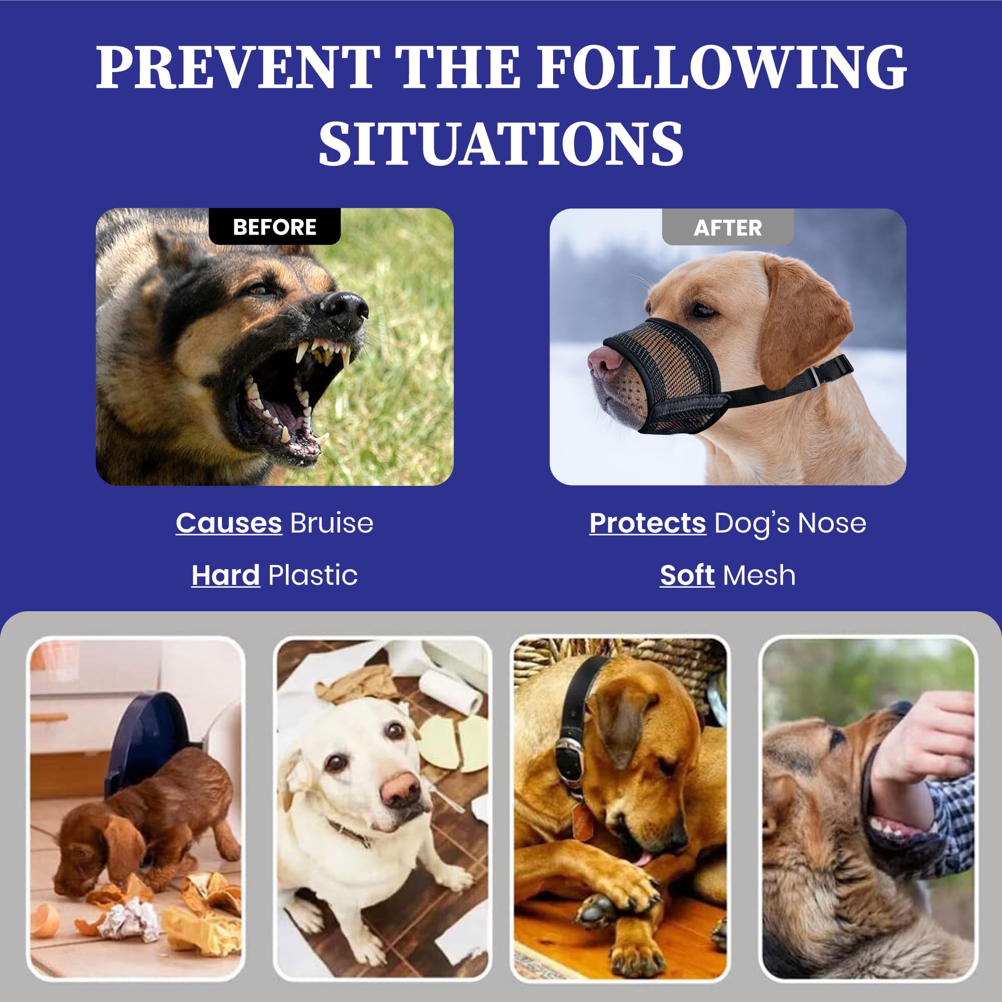 Evollax dog muzzle sizing guide showing how to measure for proper comfort.