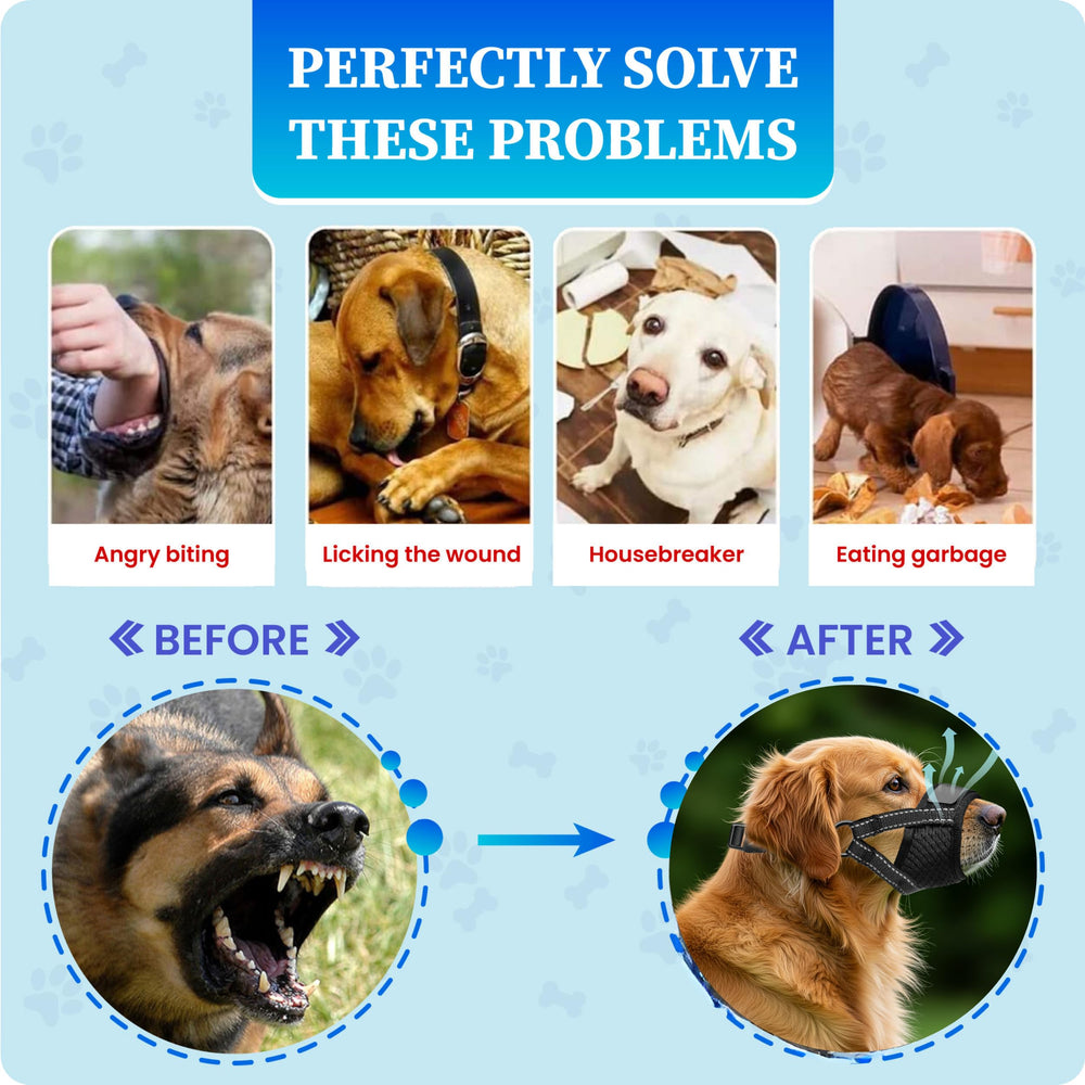 Evollax muzzle demonstrates versatile use for grooming, travel, and safe socialization.
