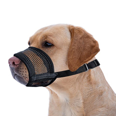 Evollax extra-large dog muzzle in breathable mesh on a dog's snout for extended wear comfort