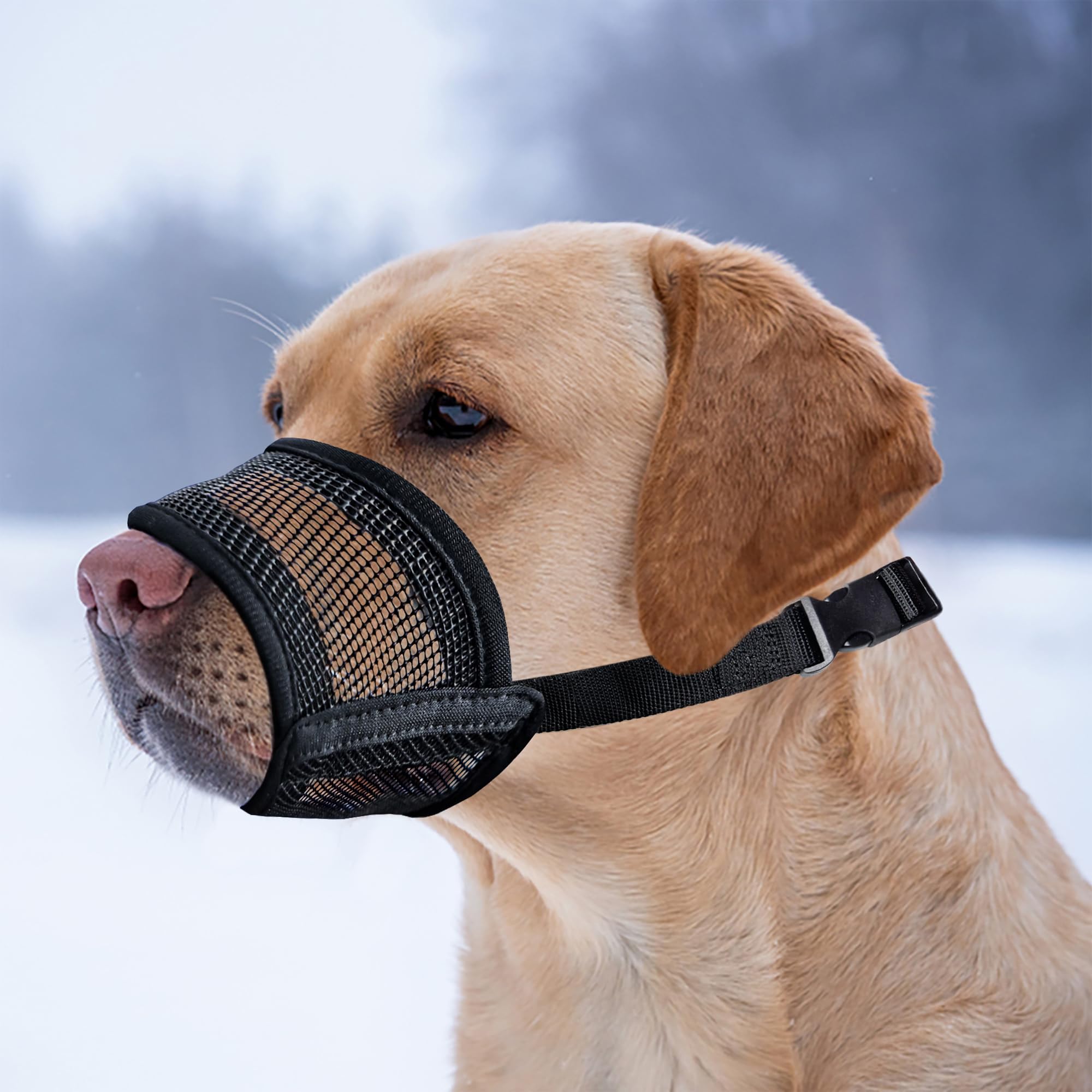 Evollax extra-large dog muzzle ready for travel and vet visits with safety features