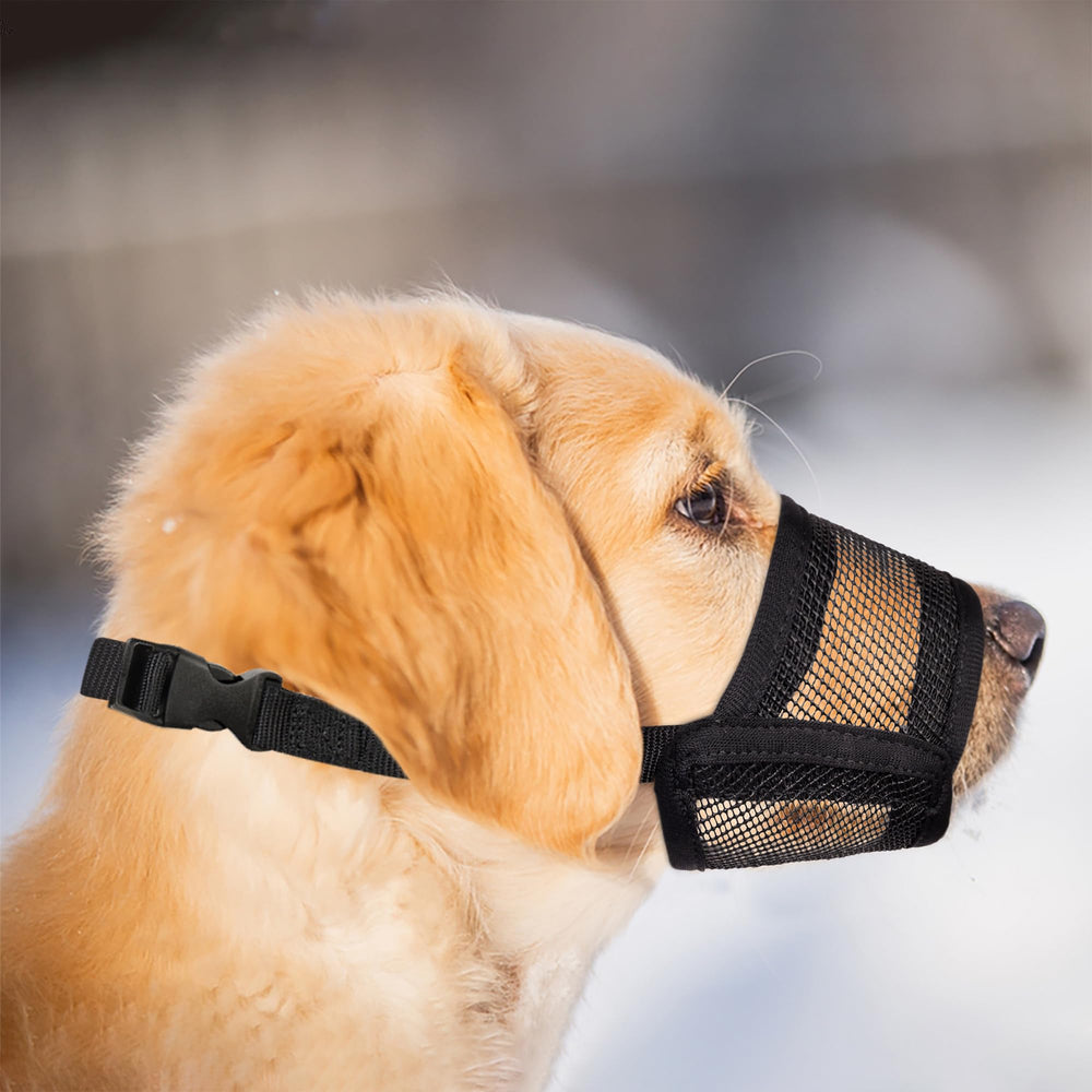Evollax small dog muzzle cleaning and care tips for quick maintenance.