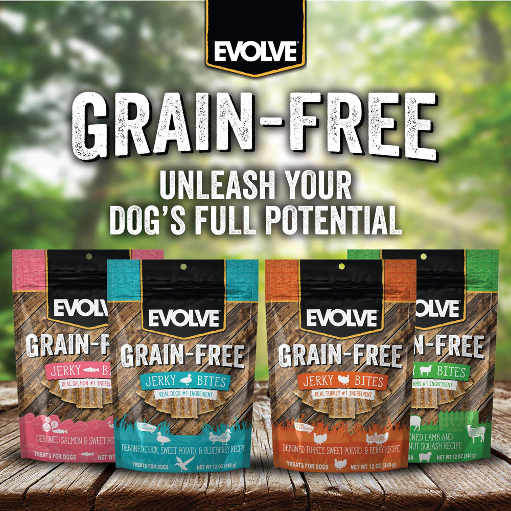 Evolve Berry-Pea Blend close-up highlights colorful natural ingredients