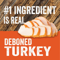 Evolve Grain Free Turkey Pea Berry close-up emphasizes wholesome, grain-free ingredients for dogs