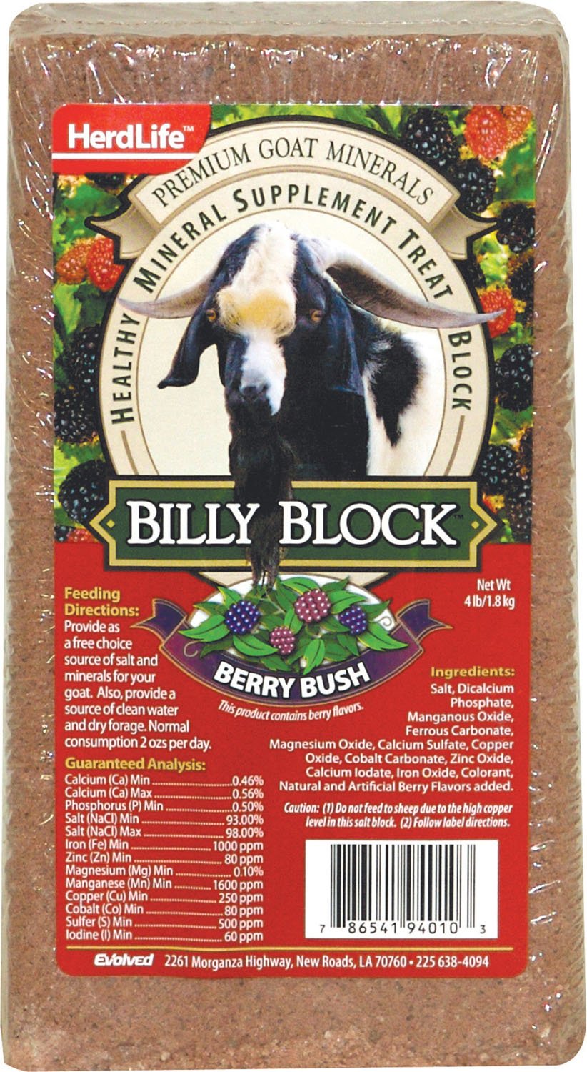 Evolved Billy Block Berry Bush image showing a goat mineral treat for daily nutrition support.