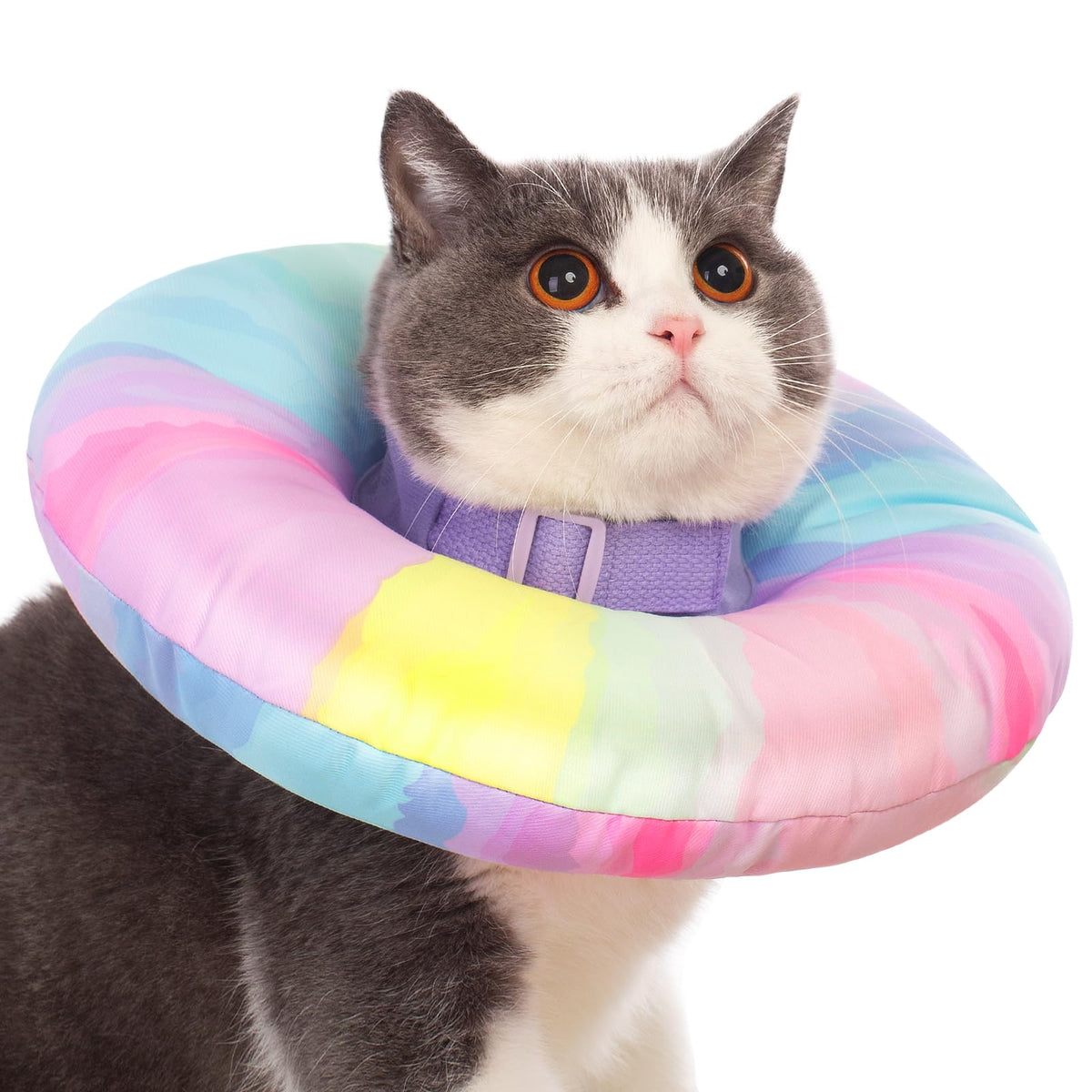 EWES Cat Cone Collar Soft L Size on cat resting after surgery for comfortable recovery