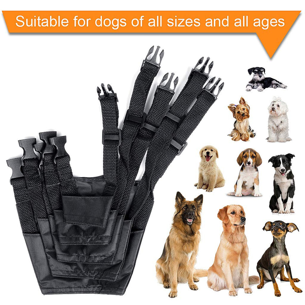 ewinever dog muzzle five-pieces set various sizes image demonstrates small to extra sizes for growing dogs.