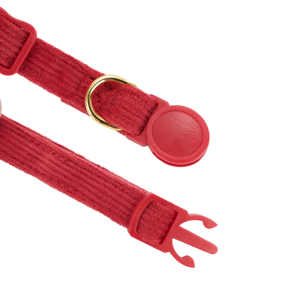 Ewinoom gift-ready two-pack collar set for holiday gifting.