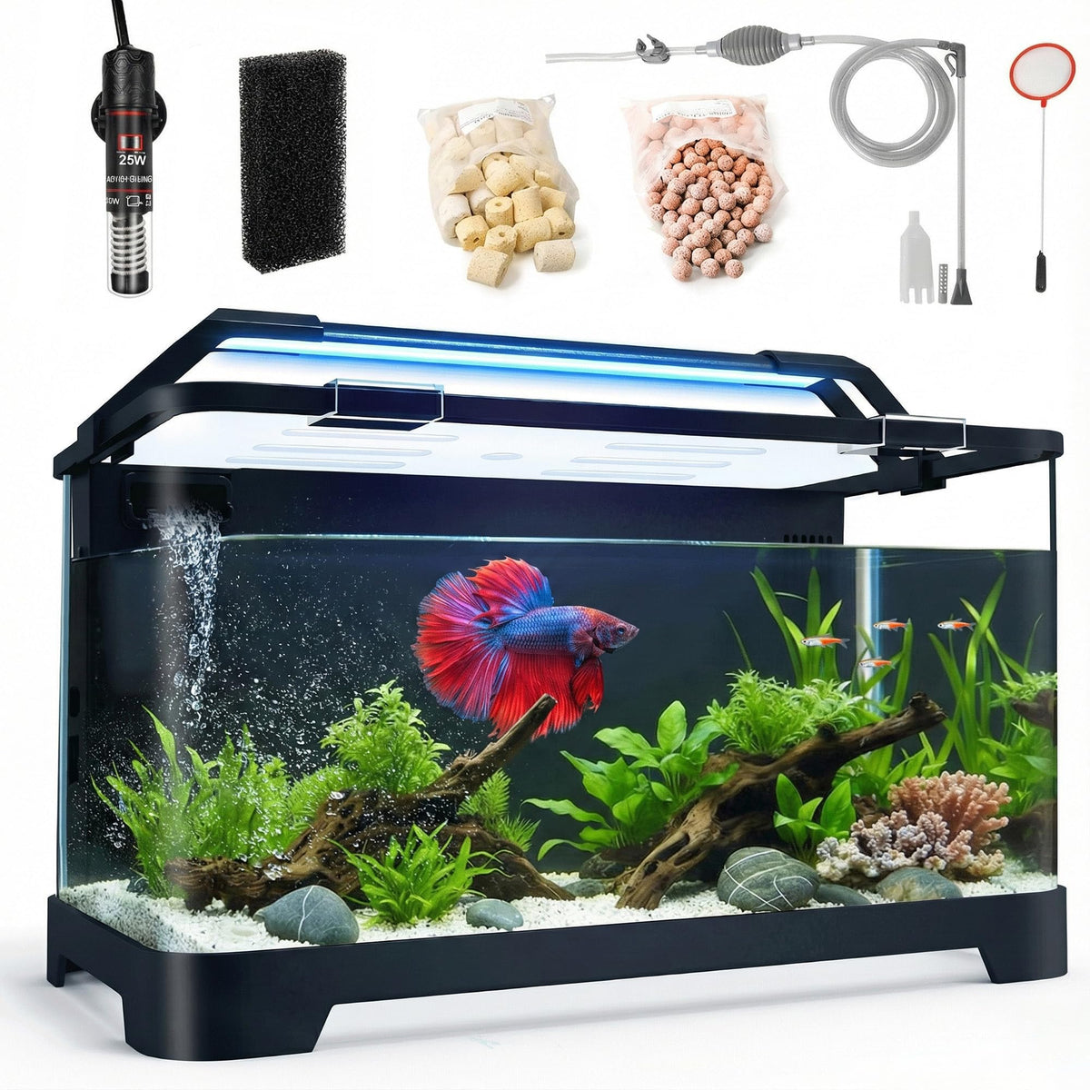 eWonLife 3.5 gallon aquarium front view for a compact desk setup with easy care