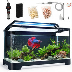eWonLife 3.5 gallon aquarium front view for a compact desk setup with easy care